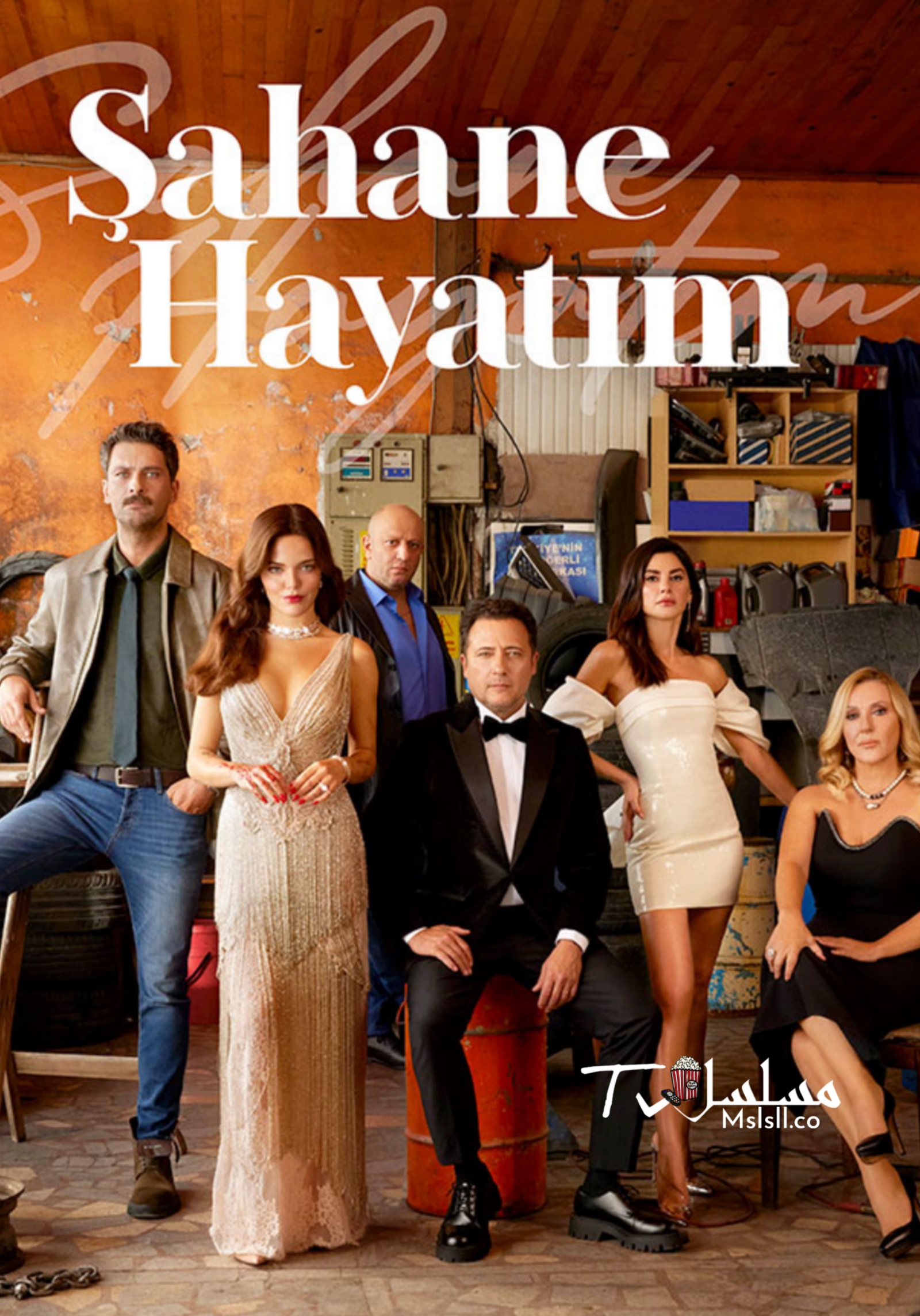 مسلسل حياتي الرائعة مترجم