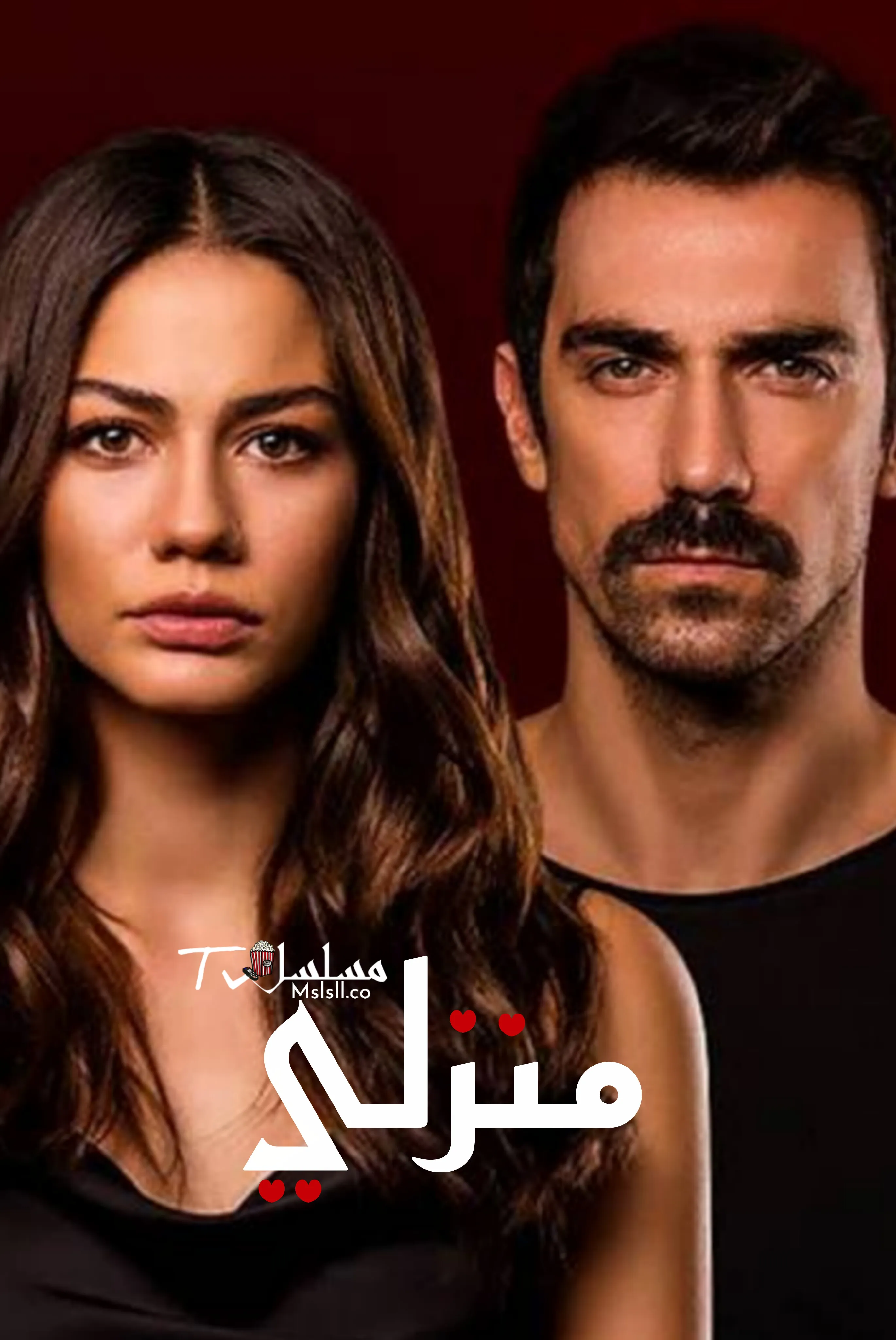 مسلسل منزلي مدبلج